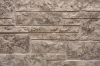 Forrestville Natural Thin Stone Veneer