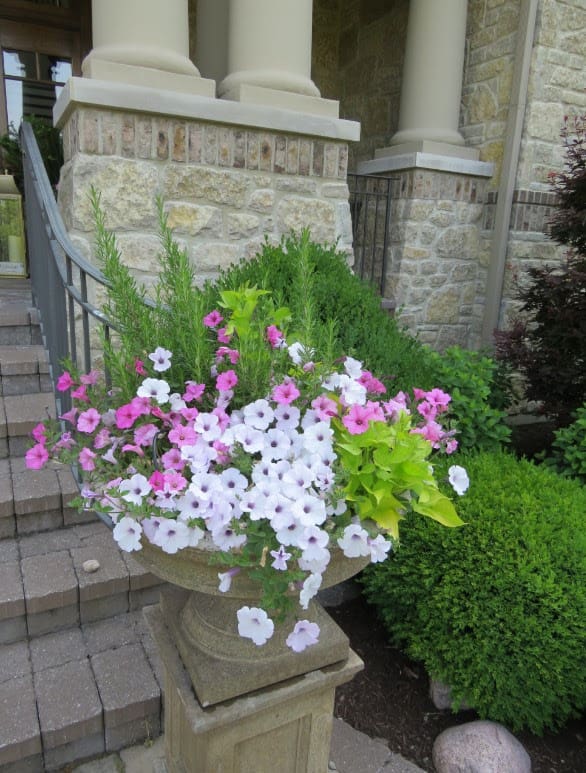 Chateau Real Limestone Thin Veneer Front Porch Pillars